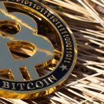 Buterin risponde alle critiche sulla governance di Ethereum